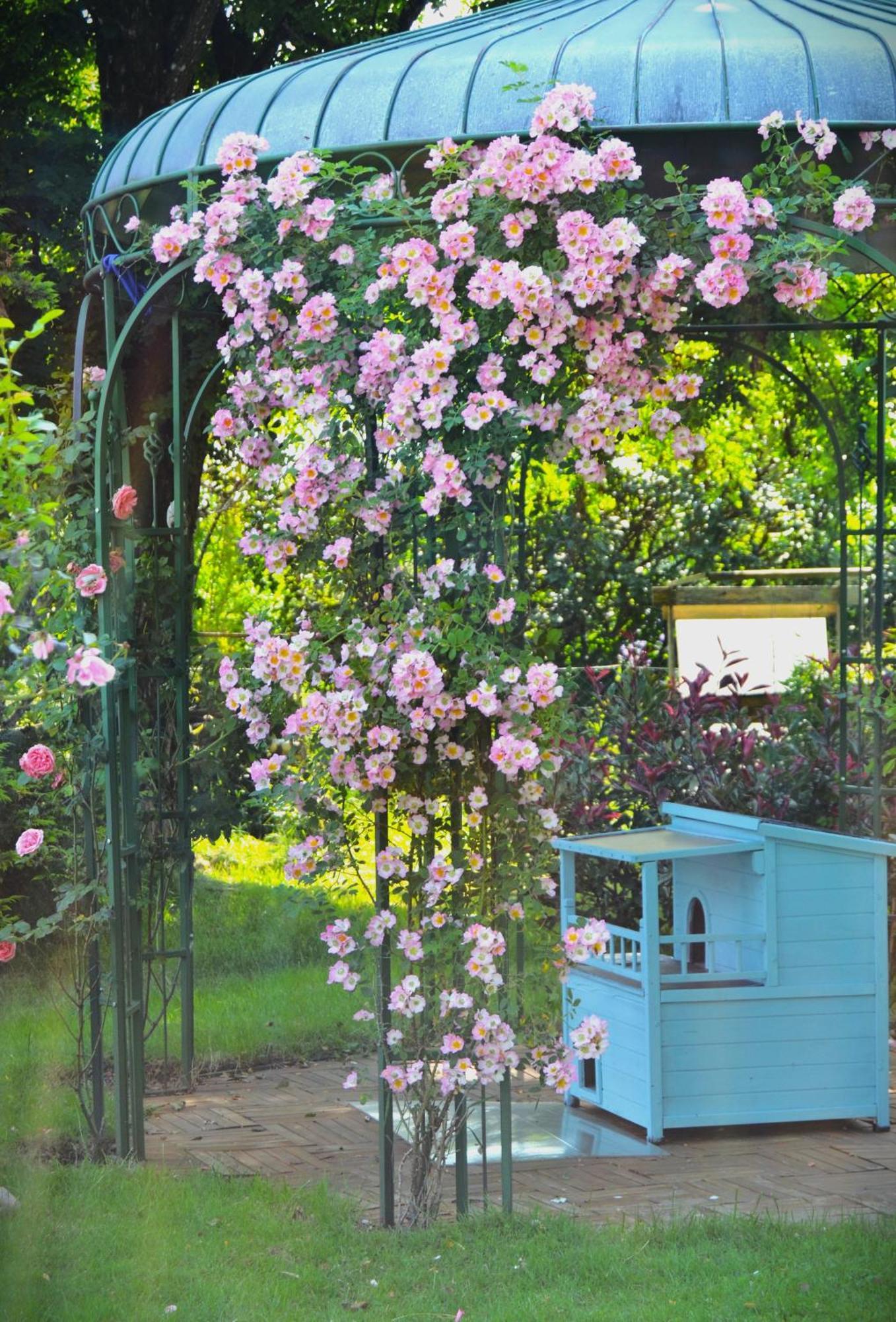 Au Temps Suspendu Bed and Breakfast Champagney Εξωτερικό φωτογραφία